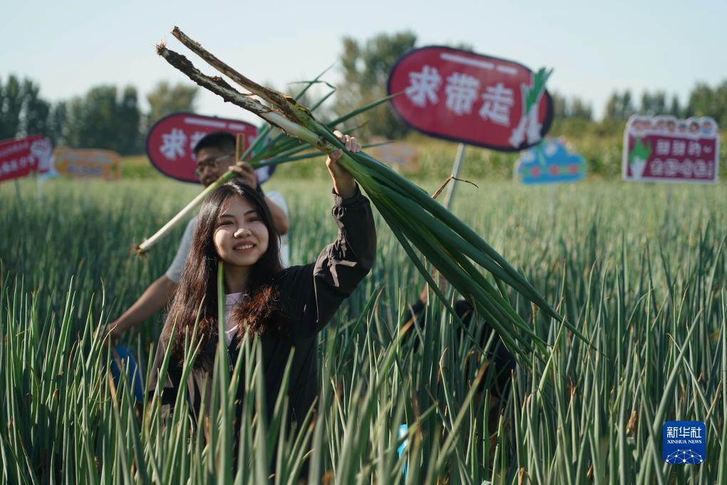 扎金花网站代理